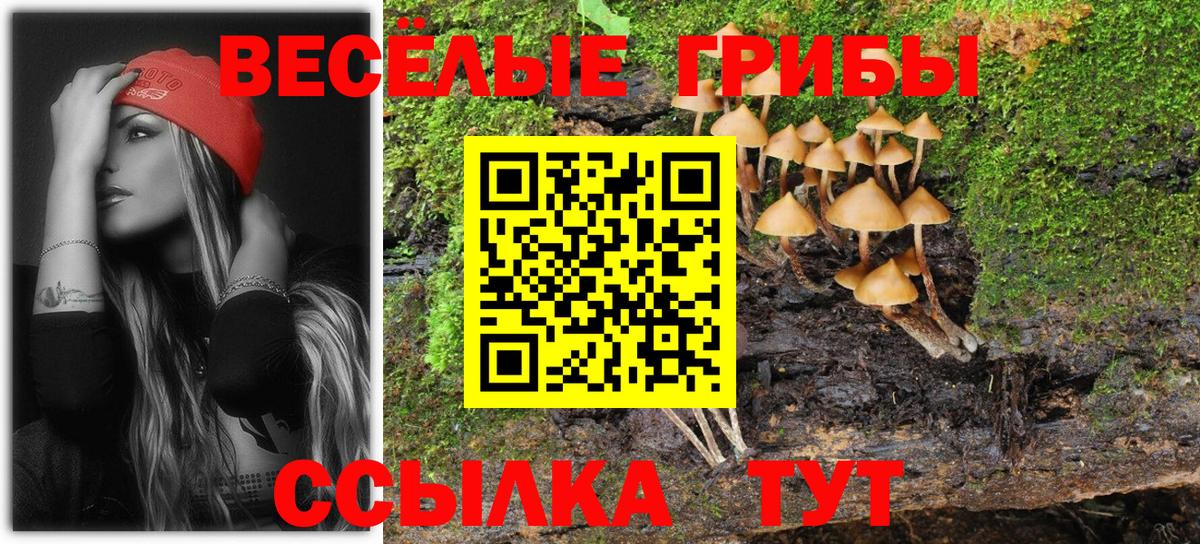 Якутск  Галлюциногенные грибы Psilocybine cubensis  Вход с VPN 