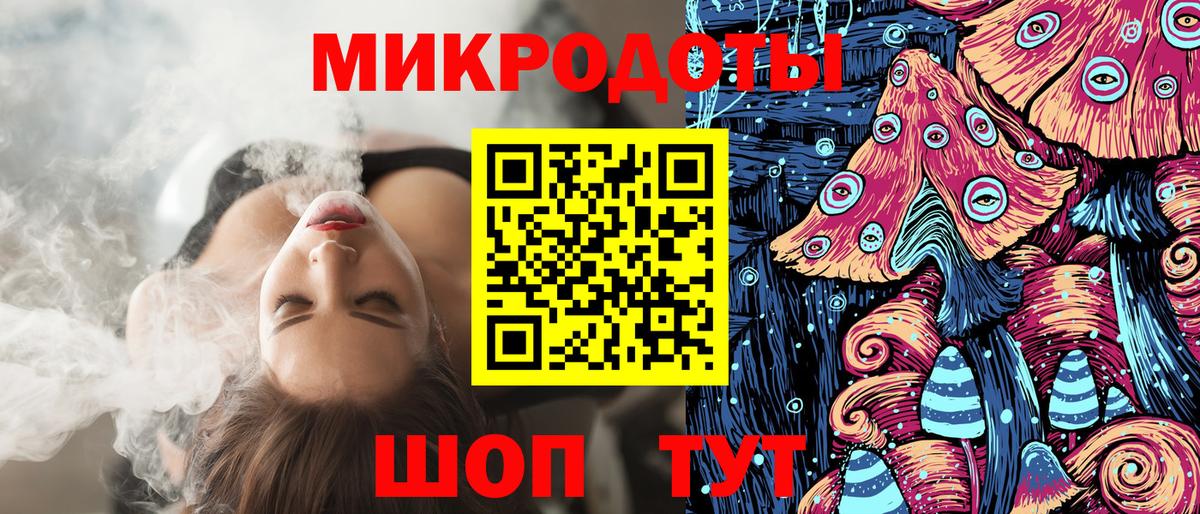 Псилоцибиновые грибы Psilocybe Якутск
